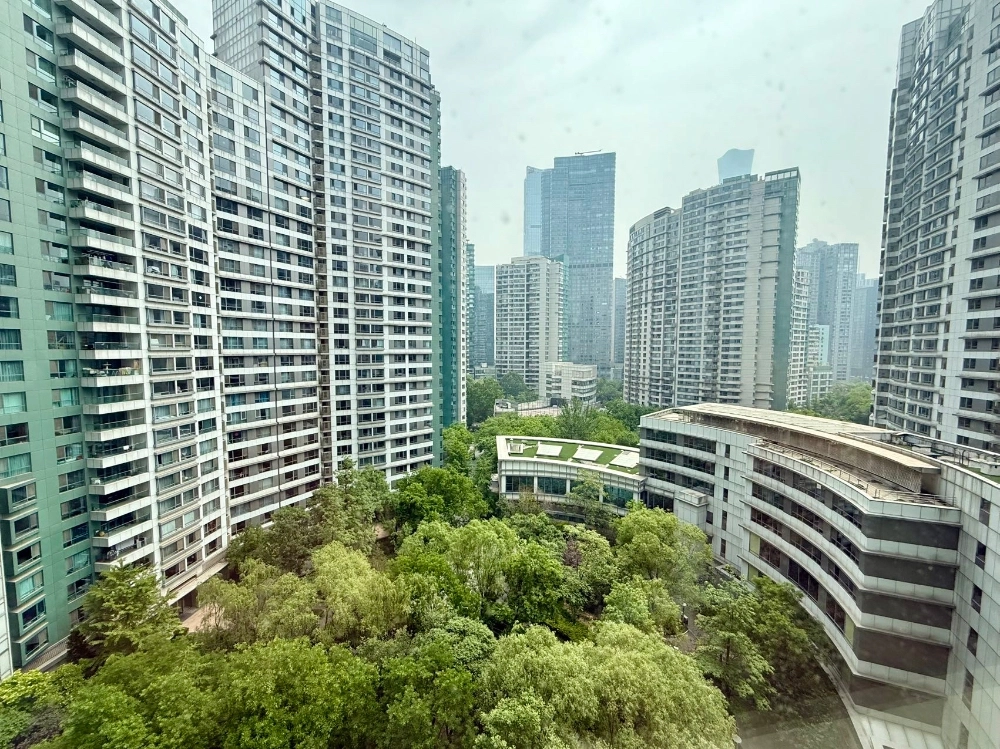 Rm 1601 No 20 Central Park(2)
