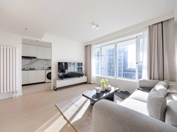 Rm 1703 No 8 China Central Place(2)