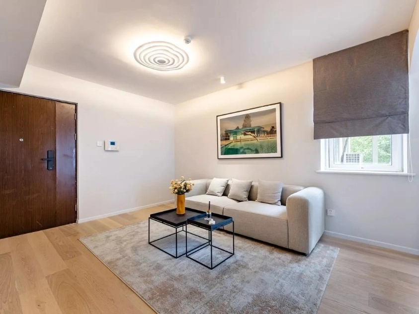 Rm 308 No 1 Wanda Plaza Apartment(4)