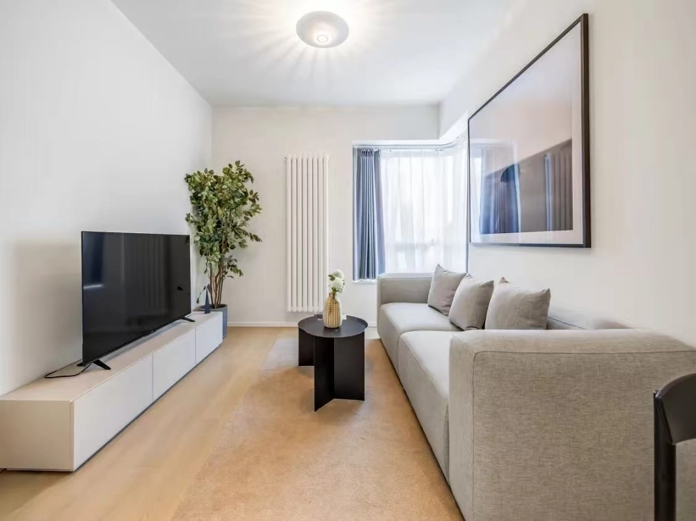 Rm 501 No 5 Wanda Plaza Apartment