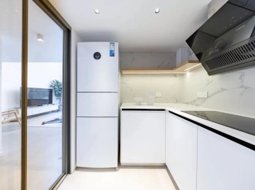 Rm 913 Bld D Chateau De Luze Apt(7)