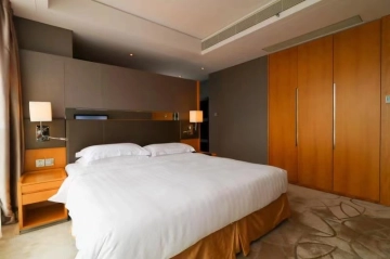 Standard 3-bdr Premier Ascott Raffle City Beijing(10)