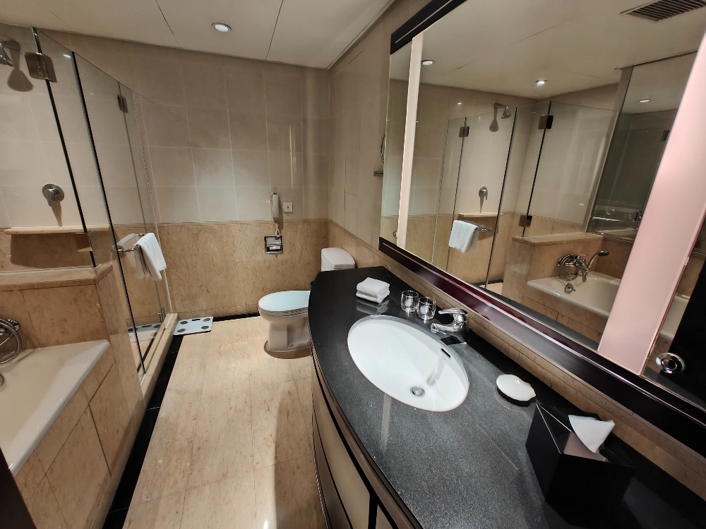 Standard Big 2-bdr Unit Oriental Plaza(7)