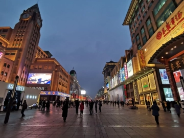Old Beijing City(16)