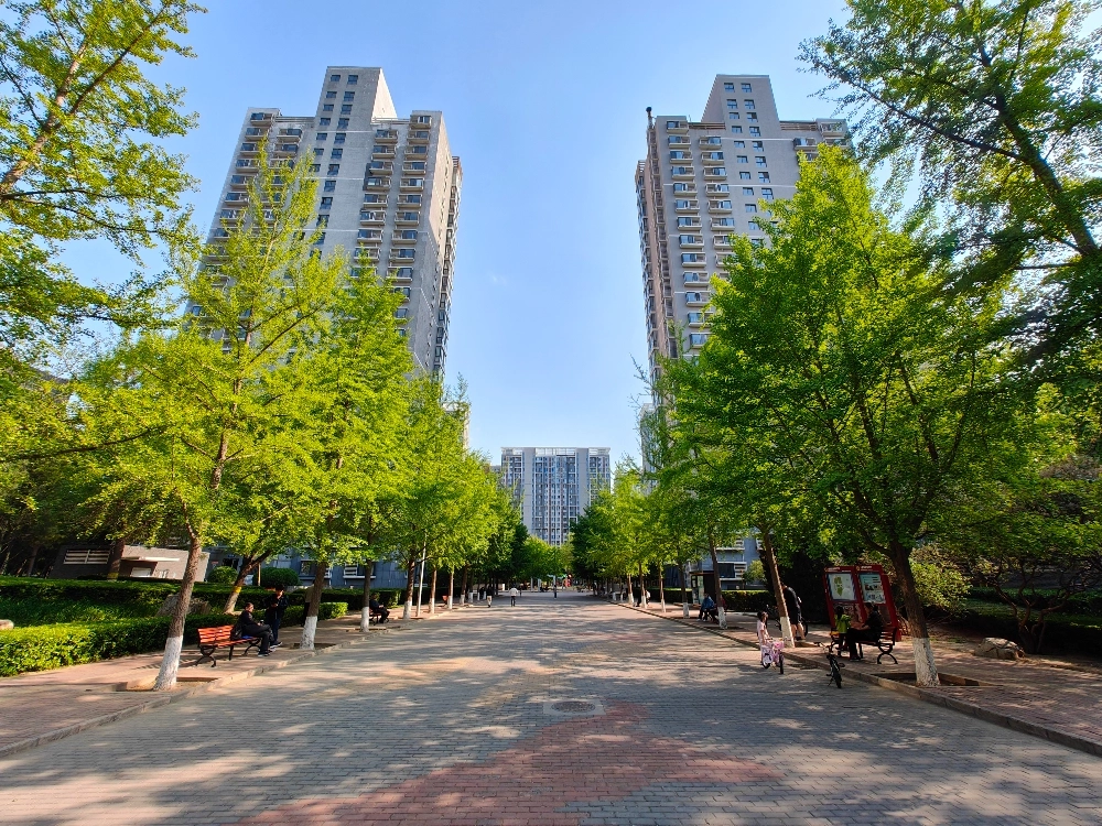 国风北京(2)