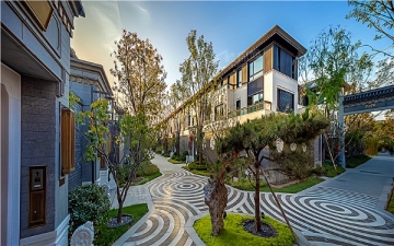 泰禾丽春湖院子(4)