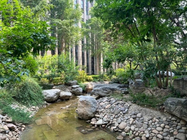 龙湖唐宁ONE(龙湖熙典华庭）(5)