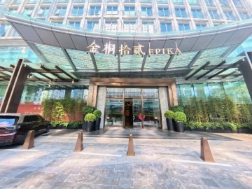 金桐拾贰(16)