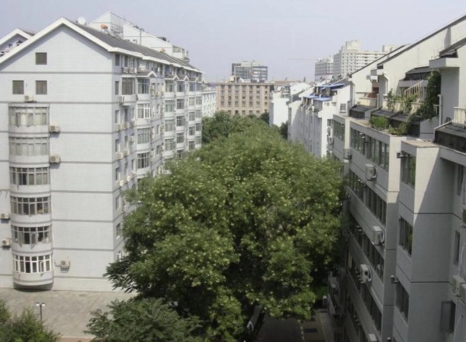丰汇园(5)