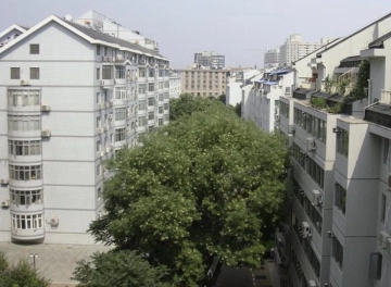 丰汇园(5)