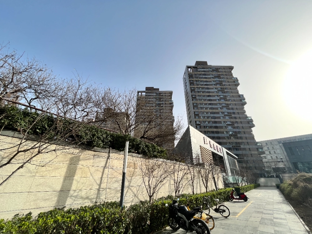 金地名京(4)