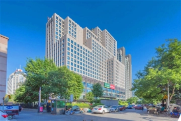 金成建国5号