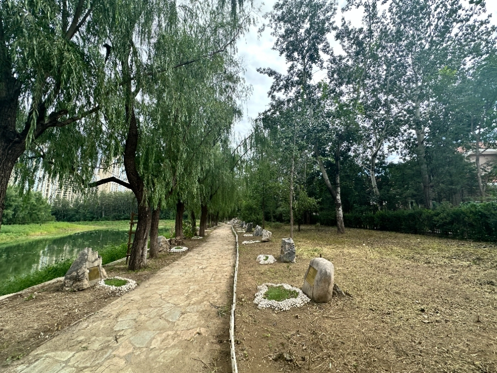 京润水上花园别墅(5)
