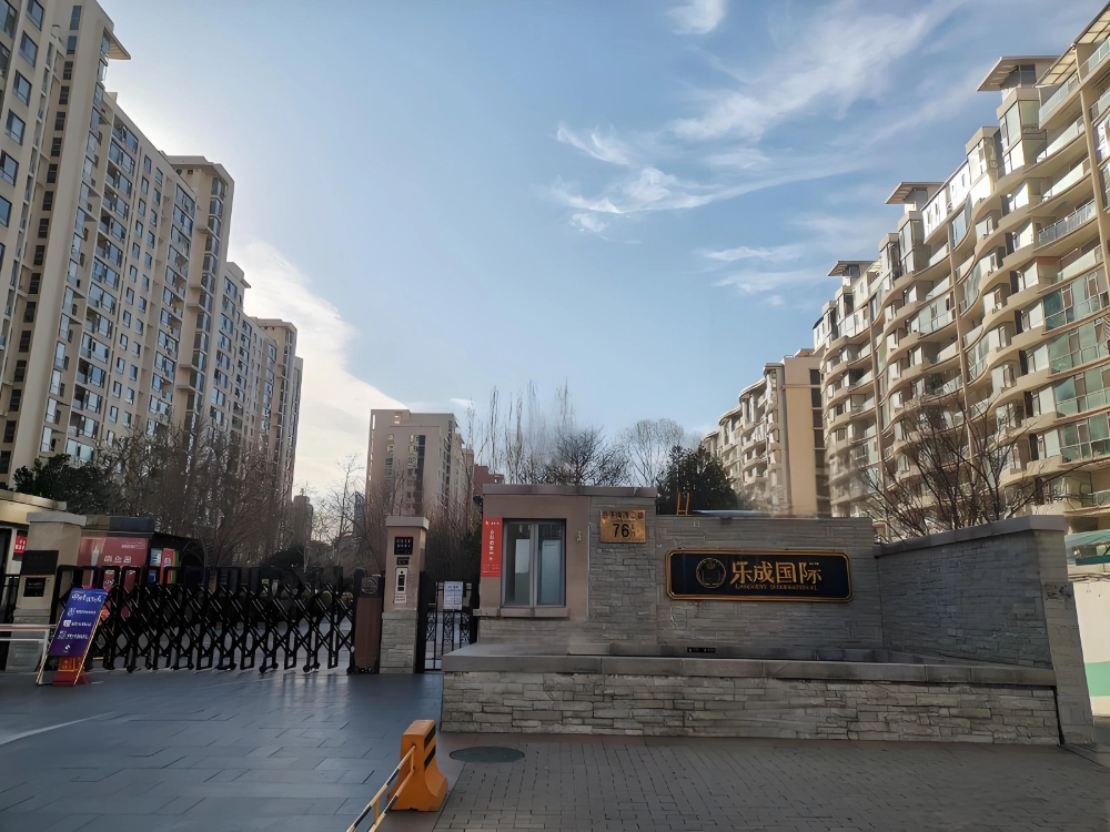 乐成国际(3)