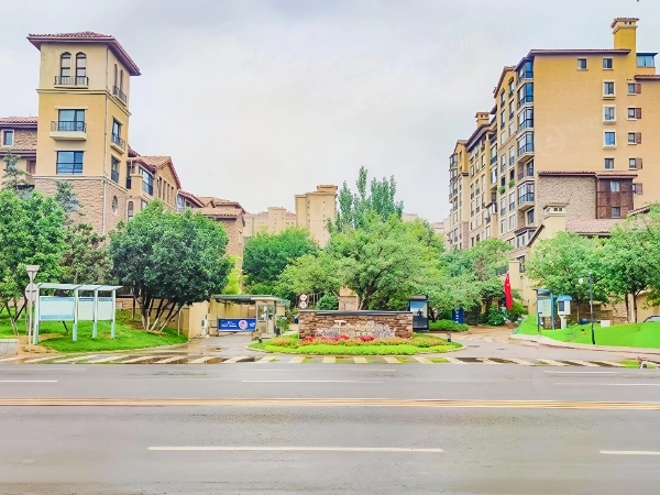 龙湖花盛香醍(5)