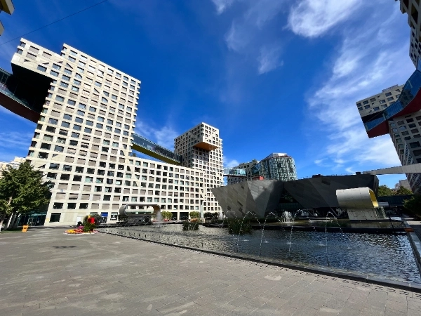 当代MOMA(5)