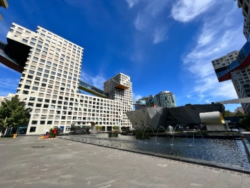 当代MOMA(5)