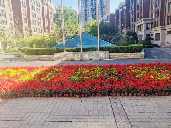 华悦国际公寓(4)