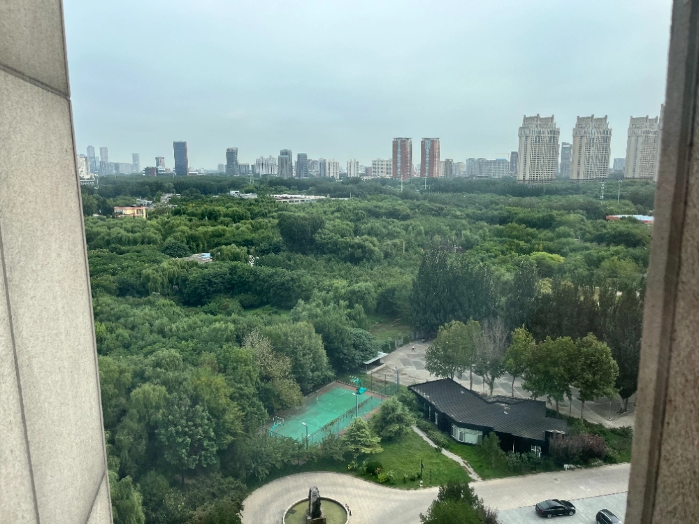 霄云里8号(3)