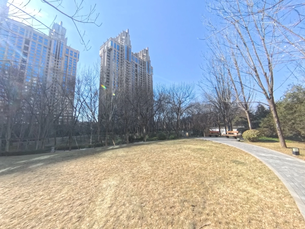 合生霄云路8号(11)