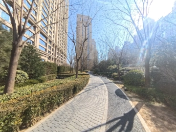 合生霄云路8号(7)