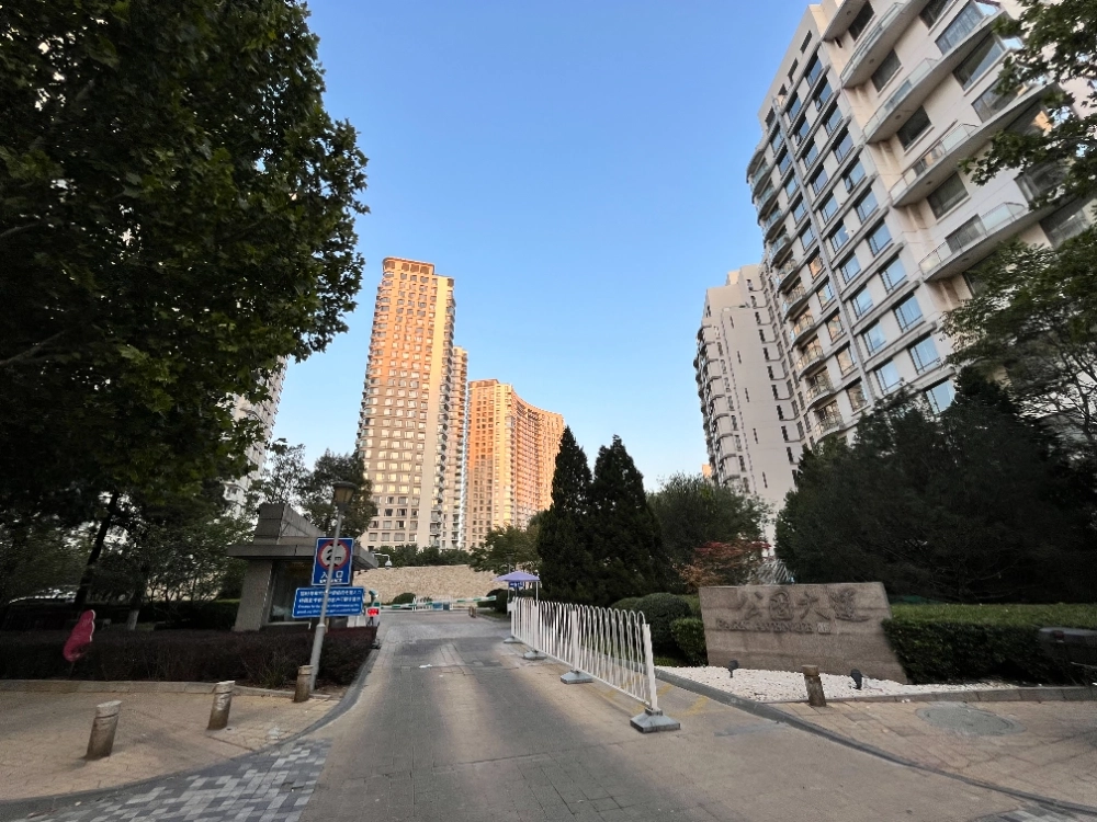 公园大道(2)