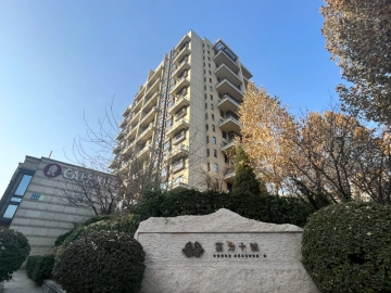 富力十号