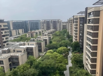 富力十号(2)