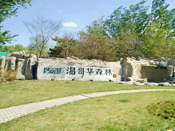 温哥华森林南郡(13)