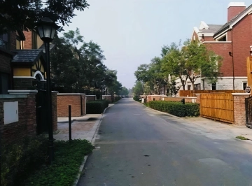 温哥华森林南郡(6)