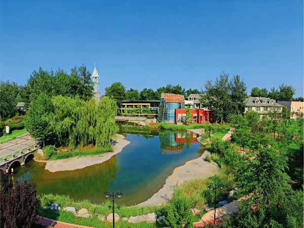 温哥华森林南郡(10)