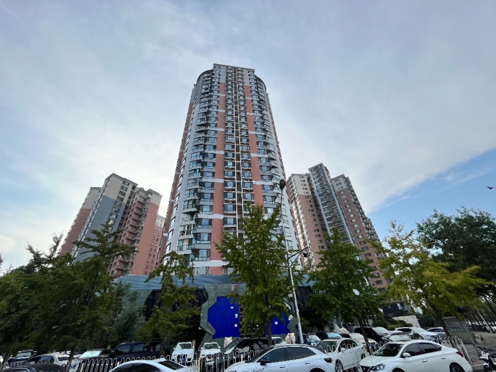 金星园(2)