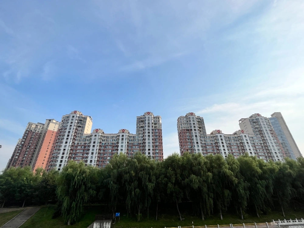 金星园(3)