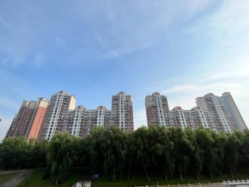 金星园(3)