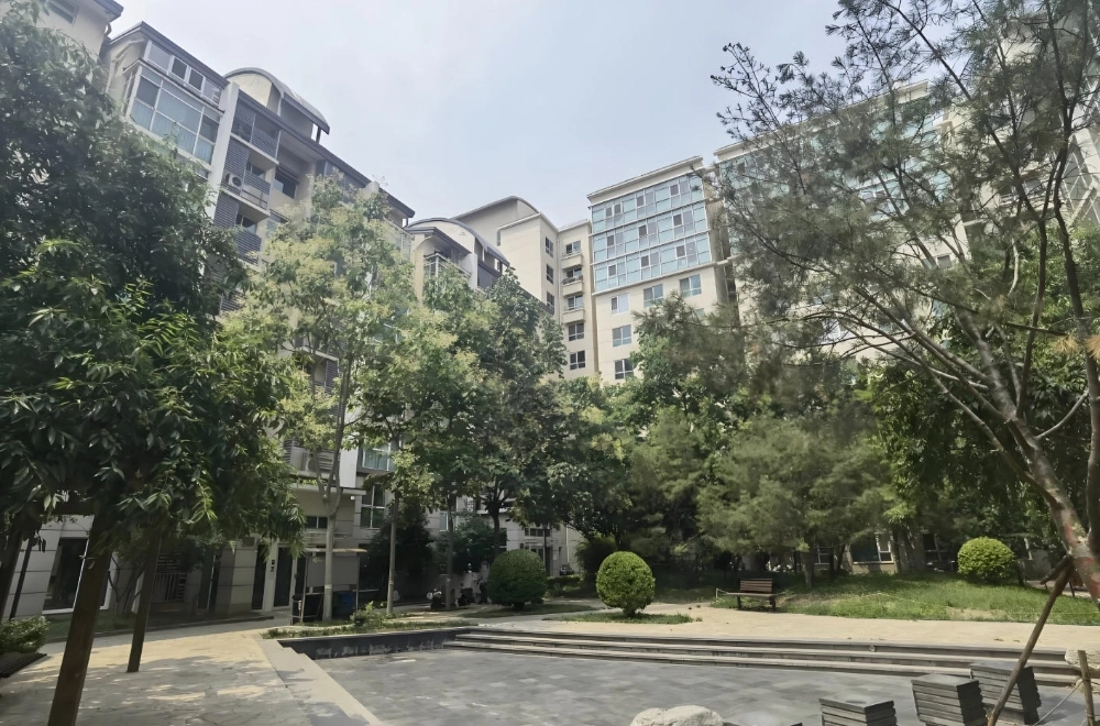 西城晶华(5)