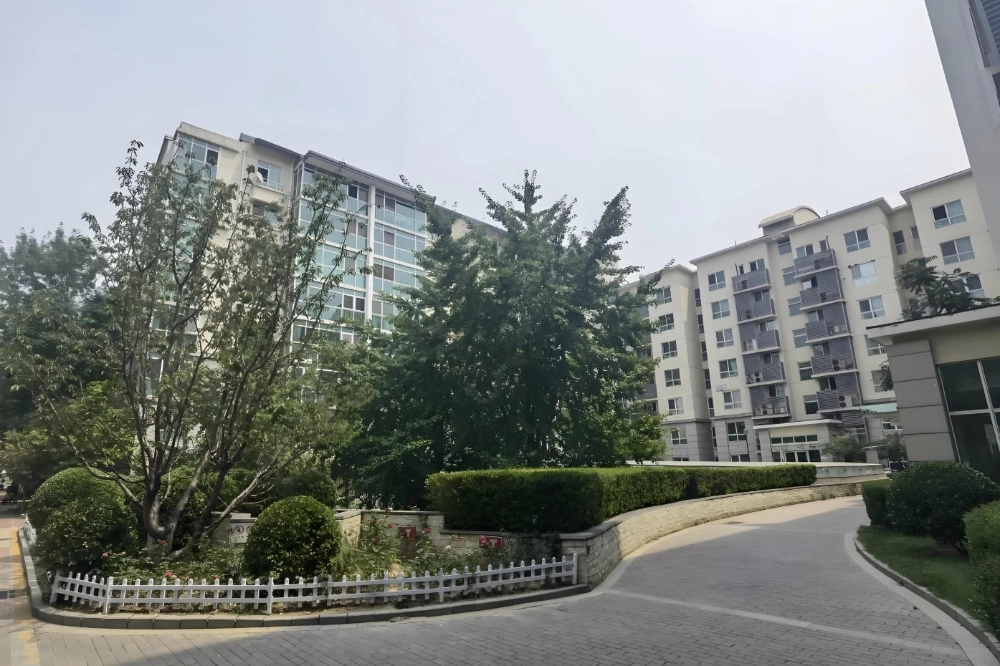 西城晶华(6)