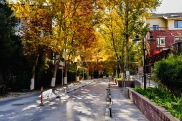 亚运新新家园静风园(3)