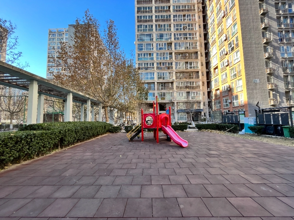 青年汇佳园(4)