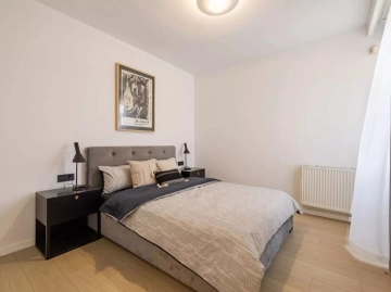 乐成国际8号1单元102室(9)