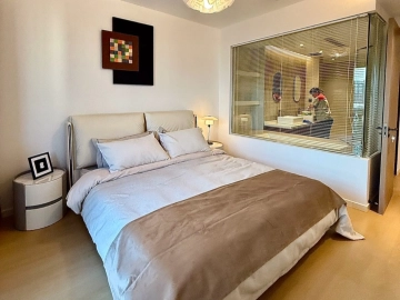 瑞士公寓C单元1701室(5)