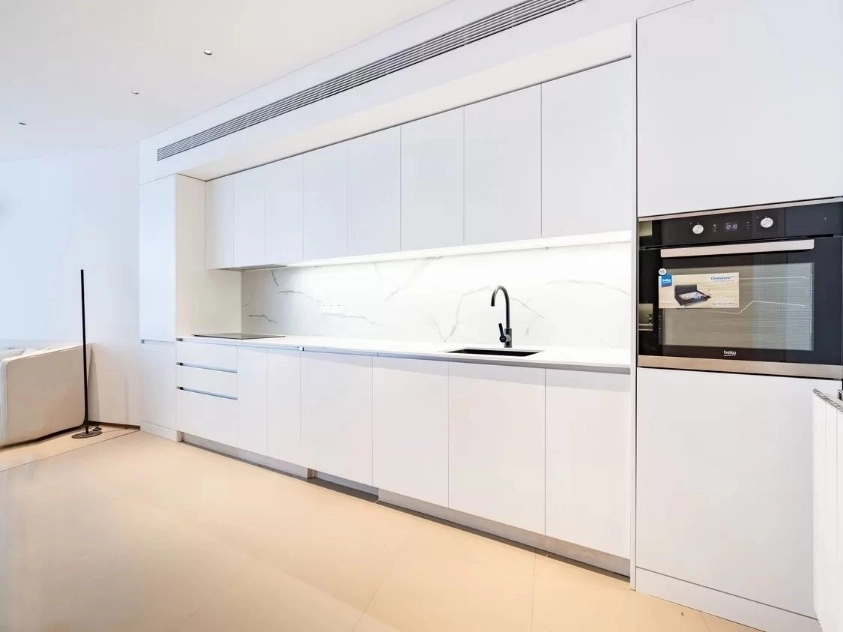 新城国际6号301室(8)